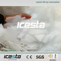 Icesta Group