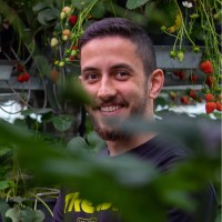 Emir Avcı