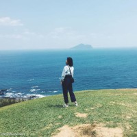 Lei Liu (Window Film)