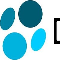 Ditanet IT Consult