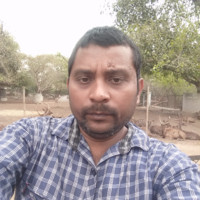 Murli Manohar Vibhuti