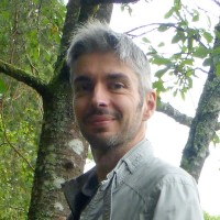 David Morand