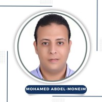 Mohamed Mahmoud Abdelmoneim