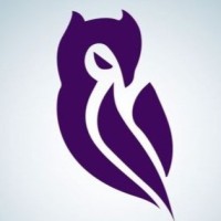 Noddy Owl