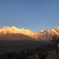 申振兴