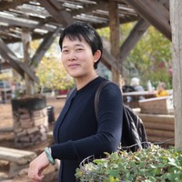 Mary Wan, Cpa