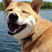 孔得志