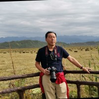 William Wang