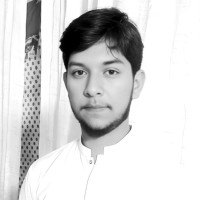 Amir Ali