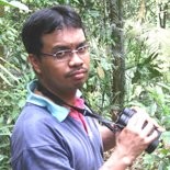 rosli ramli