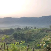 Azwar Hamid