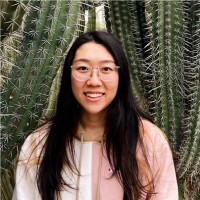 Annie Zhu