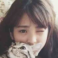 王点点
