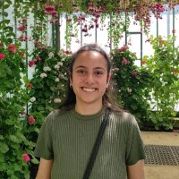 Jamilé Vargas Moreno