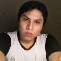 Luis David Paredes Capcha