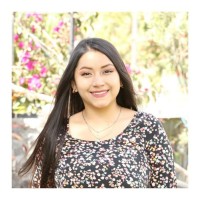 Damaris Castro Tigse