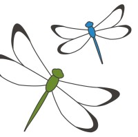 Emerging Leaders for Biodiversity