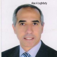 Alaa Albaghdady