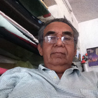 Lauro Guillermo Pallares Martinez