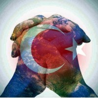 Ali Türk