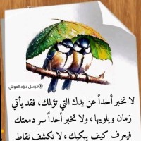 Saïd  TABAT cherkawi