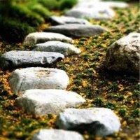 李金玉