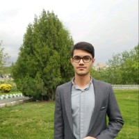Mohammad Reza Khashei