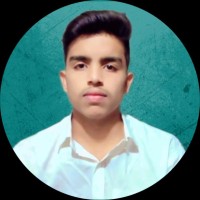 Syed Zain Ali