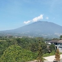 Ujang Robiana