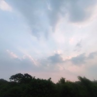 Tang José