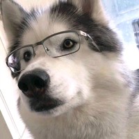 吴其林