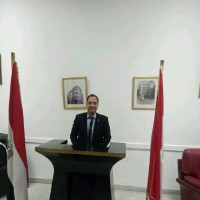 Hassan Mostafa