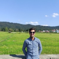Amir Momeni