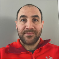 Davide Maiolini