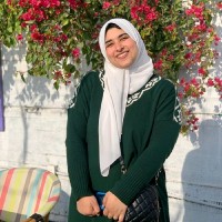 Nourhan Mohamed