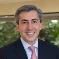 Pedro Alfonso Rosales Navarro