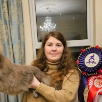 Emily Whittingham