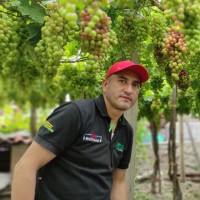 Lizardo Edmundo Maldonado Arce