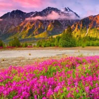 Beebee Bilkiss Jeetun Abdoolah