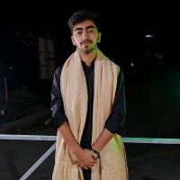 Adeel Ghazanfar
