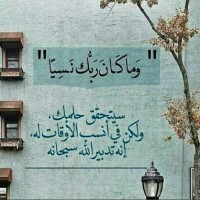 احمد الشرقاوي