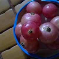 An Lê