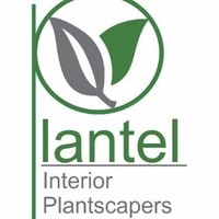 Lewis Alonzo Martinez