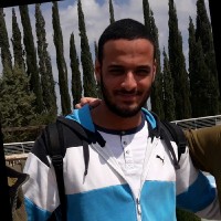 Alon Tamir