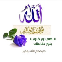 Hamed Hammad