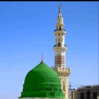 M. Himas Hussain