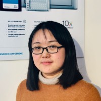 Fangfang Jin