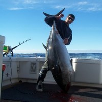 Brendon Nichols B&h Industries