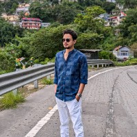 Raunak Roy