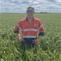 Lachlan Mclennan